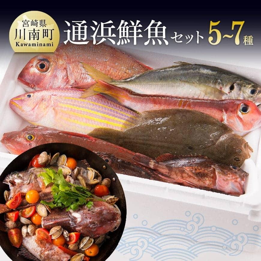 『日向灘海の幸』通浜鮮魚セット - 魚貝 魚介類 鮮魚 魚介 セット 新鮮 漁協直送 鮮度抜群 水揚げその日に発送