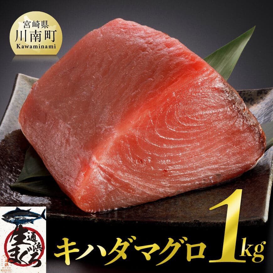 漁協直送！キハダマグロブロック（生）1kg - 魚 魚介 魚介類 鮮魚 日本 九州 宮崎県 日向灘 新鮮 新鮮魚介 獲れたてまぐろ の漬け 角煮 海の幸 煮付 おかず おつまみ 酒の肴 肴 和食 お膳 和風ステーキ