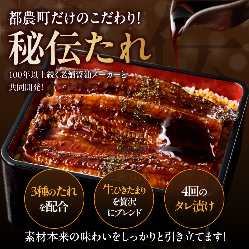 【2週間以内発送】うなぎ蒲焼特大2尾(さんしょう・たれ付き)計380g以上 鰻 魚 魚介 加工品 国産_T026-0067-2W