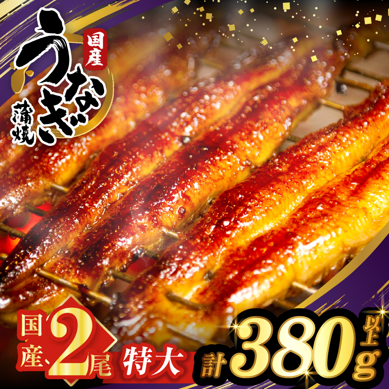 【2週間以内発送】うなぎ蒲焼特大2尾(さんしょう・たれ付き)計380g以上 鰻 魚 魚介 加工品 国産_T026-0067-2W