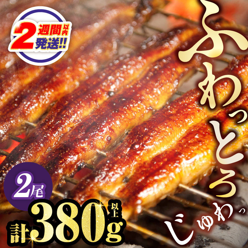 【選べる！！発送時期・定期便】うなぎ蒲焼特大2尾(さんしょう・たれ付き)計380g以上 鰻 魚 魚介 加工品 国産_T026-0069-SKU