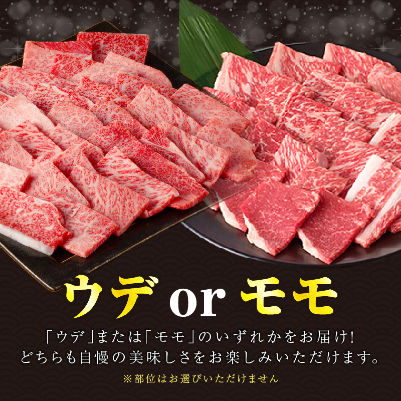 【内容量が選べる】≪肉質等級4等級以上≫黒毛和牛赤身焼肉(計500g 1kg 1.5kg 2kg) 肉 牛 牛肉 おかず 国産_T030-0928-SKU