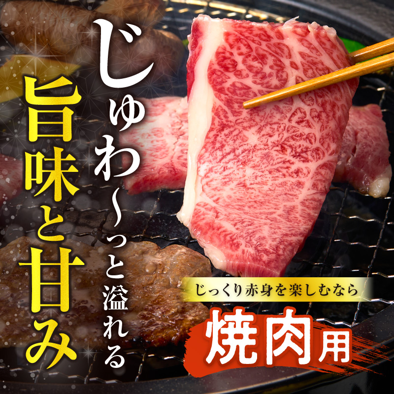 【内容量が選べる】≪肉質等級4等級以上≫黒毛和牛赤身焼肉(計500g 1kg 1.5kg 2kg) 肉 牛 牛肉 おかず 国産_T030-0928-SKU