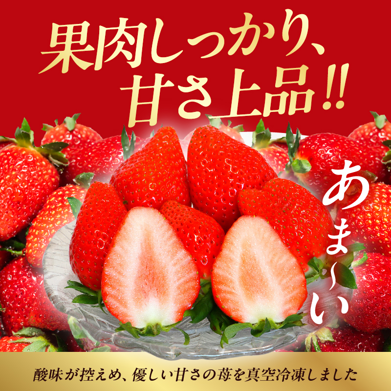 ≪訳あり≫都農町産「冷凍いちご(やよいひめ）」計1kg フルーツ 果物 デザート イチゴ 国産_T059-0037