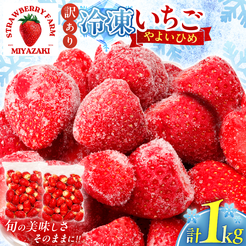 ≪訳あり≫都農町産「冷凍いちご(やよいひめ）」計1kg フルーツ 果物 デザート イチゴ 国産_T059-0037