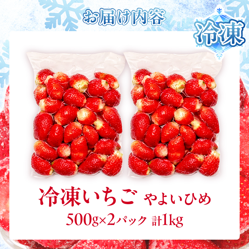 ≪訳あり≫都農町産「冷凍いちご(やよいひめ）」計1kg フルーツ 果物 デザート イチゴ 国産_T059-0037