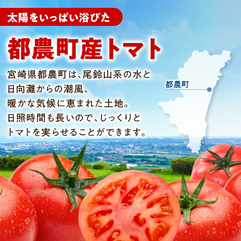 【選べる内容量】「都農めぐるトマト」ドレッシング計1～5本 とまと サラダ 加工品 国産_T054-0017-SKU
