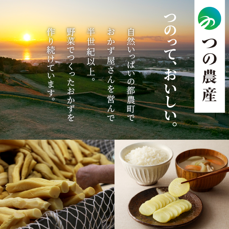 【2週間以内発送】＼ポスト投函／つの農産お漬物ギフトセット 漬物 おかず 野菜 加工品 国産_T037-0027