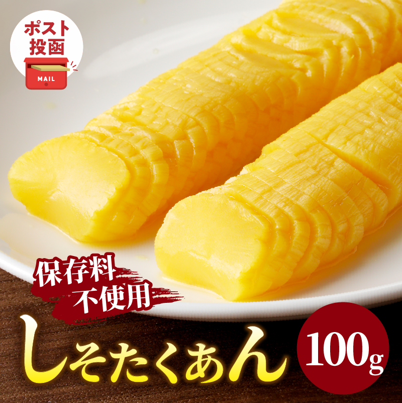 ＼ポスト投函／しそたくあん100g 漬物 おかず 野菜 加工品 国産_T037-0037