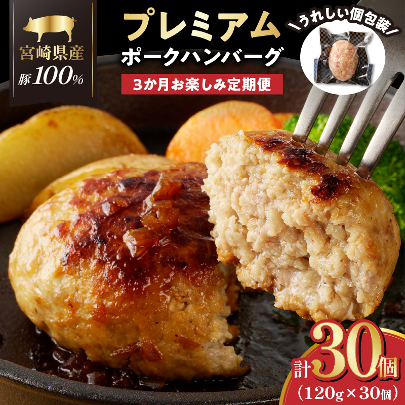 3か月 お楽しみ定期便 産豚 プレミアムハンバーグ 合計30個