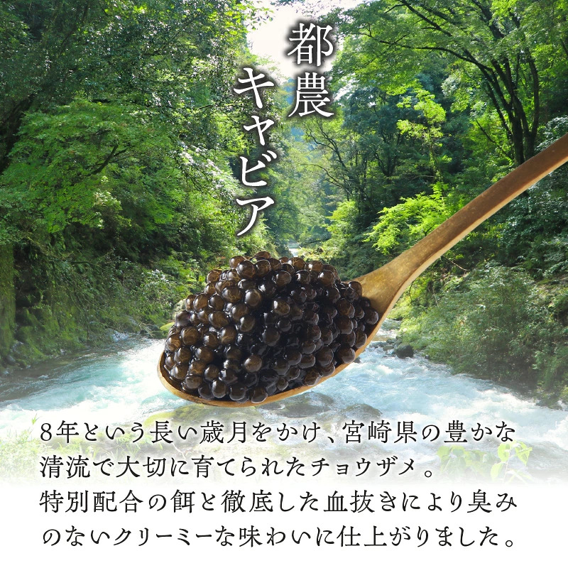 【2週間以内発送】《選べる内容量》都農キャビア10g 20g 魚 魚介 魚卵 国産_T047-0017-SKU