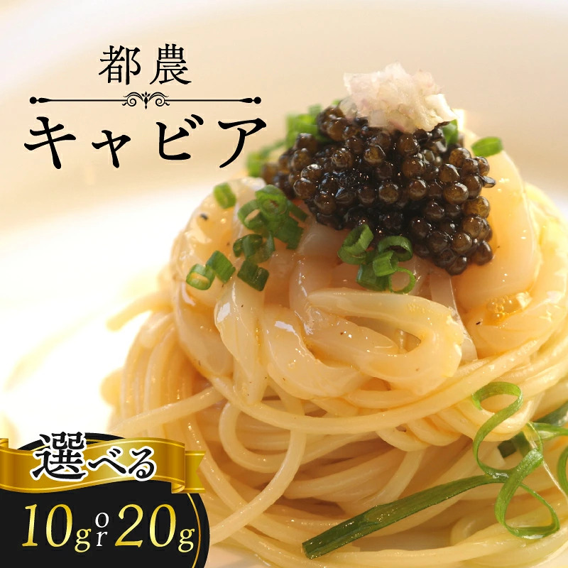 【2週間以内発送】《選べる内容量》都農キャビア10g 20g 魚 魚介 魚卵 国産_T047-0017-SKU
