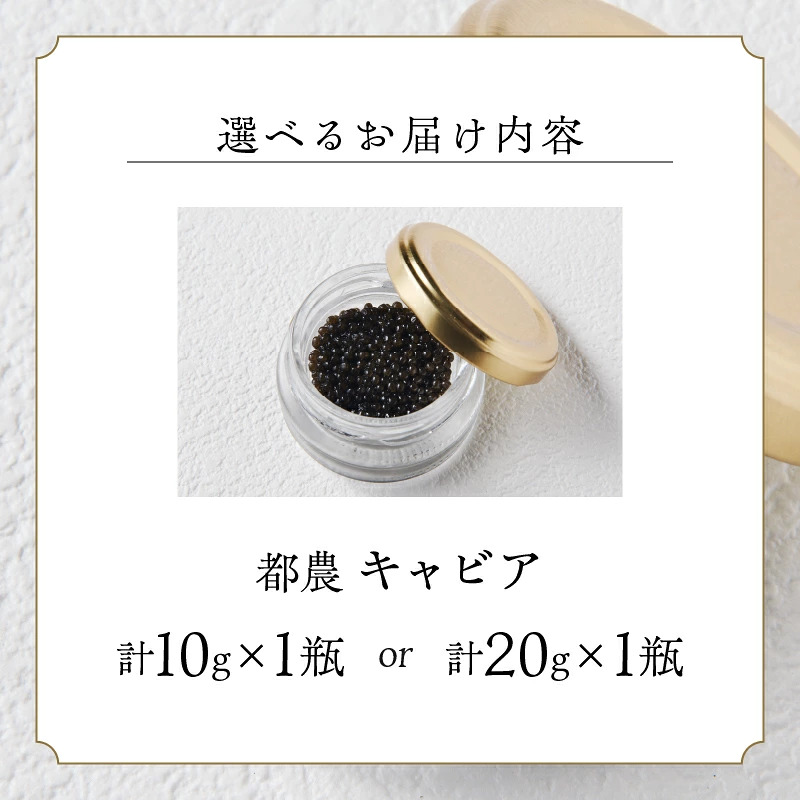 【2週間以内発送】《選べる内容量》都農キャビア10g 20g 魚 魚介 魚卵 国産_T047-0017-SKU