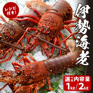 【内容量が選べる】 伊勢海老 1kg_2kg  T013-0015-SKU