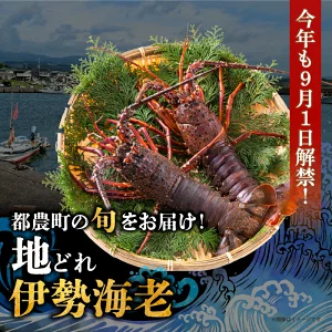 【内容量が選べる】 伊勢海老 1kg_2kg  T013-0015-SKU