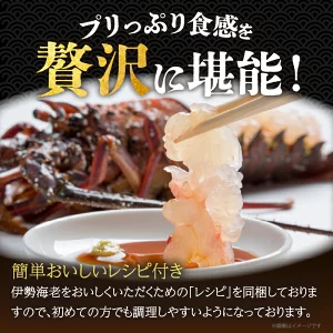 【内容量が選べる】 伊勢海老 1kg_2kg  T013-0015-SKU
