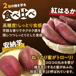 【選べる内容量】冷やし焼き芋(安納芋・紅はるか) 合計800g～2kg   T016-0055-SKU