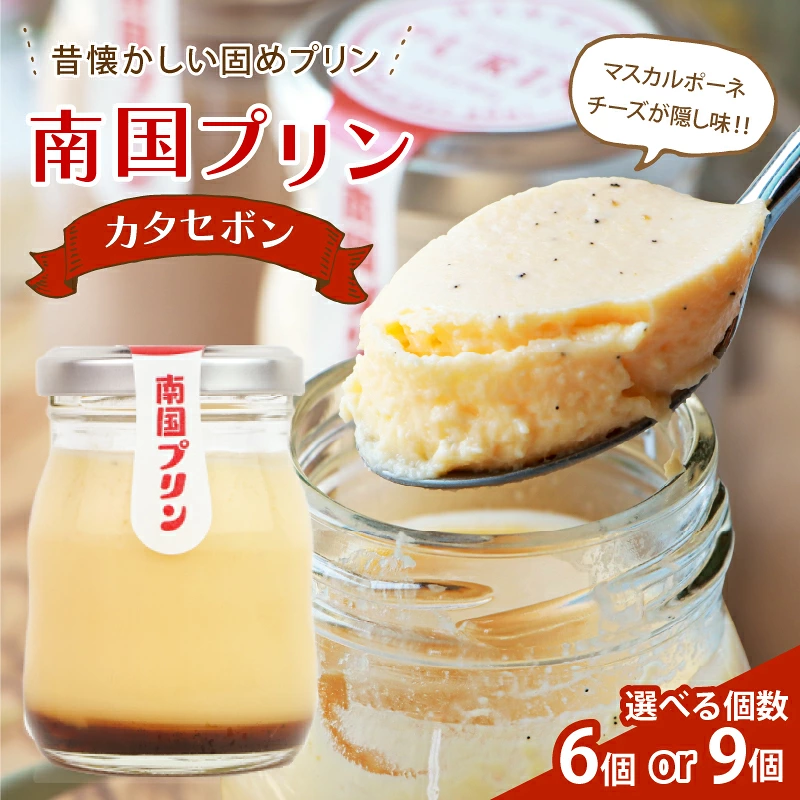 南国プリン カタセボン 計6個