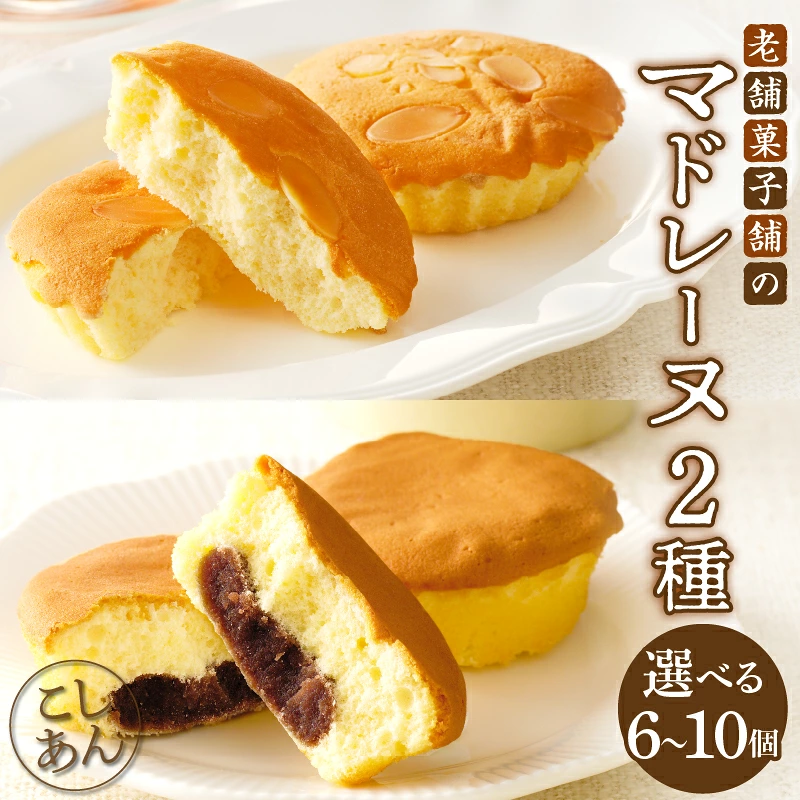 老舗菓子舗のマドレーヌ 2種セット 6個