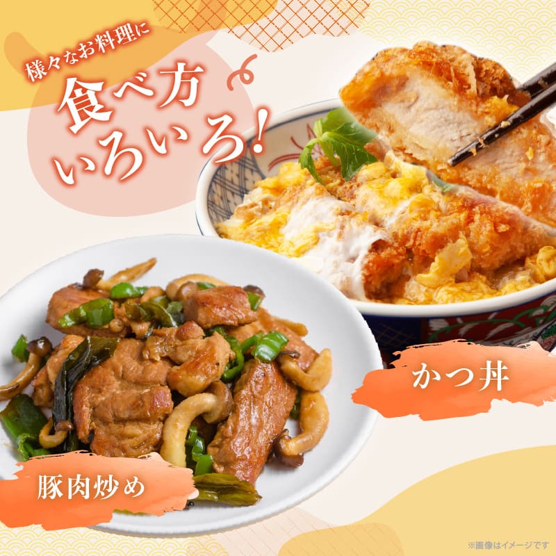【内容量が選べる】 豚ロース (トンテキ ・ とんかつ用 ) 豚肉 真空パック ロース 500g 1kg 1.5kg 2kg 宮崎 ブランドポーク 肉 国産_T023-0105-SKU