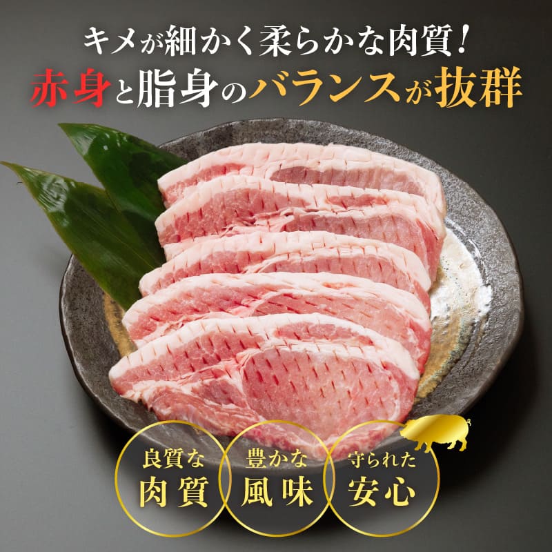 【内容量が選べる】 豚ロース (トンテキ ・ とんかつ用 ) 豚肉 真空パック ロース 500g 1kg 1.5kg 2kg 宮崎 ブランドポーク 肉 国産_T023-0107-SKU