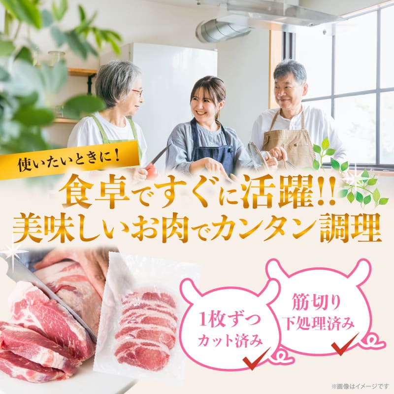 【内容量が選べる】 豚ロース (トンテキ ・ とんかつ用 ) 豚肉 真空パック ロース 500g 1kg 1.5kg 2kg 宮崎 ブランドポーク 肉 国産_T023-0107-SKU