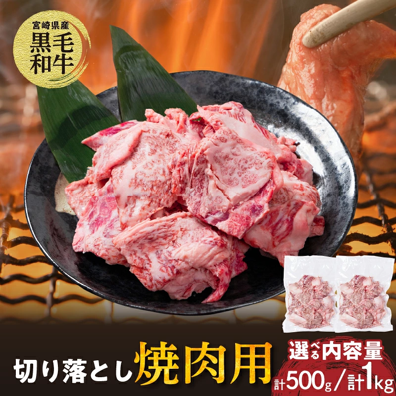 【2週間以内発送】選べる内容量 宮崎県産 黒毛和牛 切り落とし 焼肉用 食品 肉 牛肉 国産_T023-0165-SKU