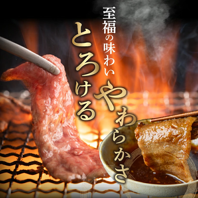 【2週間以内発送】選べる内容量 宮崎県産 黒毛和牛 切り落とし 焼肉用 食品 肉 牛肉 国産_T023-0165-SKU