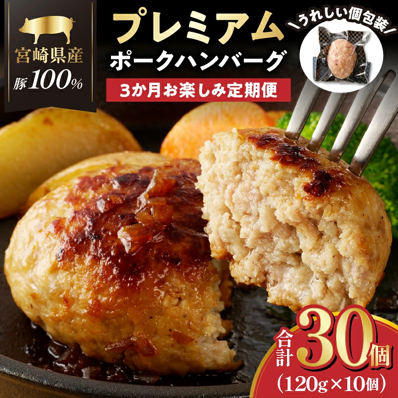 ≪3か月お楽しみ定期便≫宮崎県産豚プレミアムハンバーグ(合計30個) 肉 豚肉 加工品 国産_T001-0177