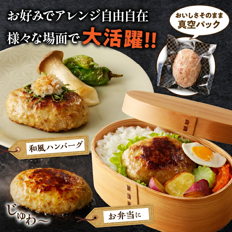 ≪3か月お楽しみ定期便≫宮崎県産豚プレミアムハンバーグ(合計30個) 肉 豚肉 加工品 国産_T001-0177