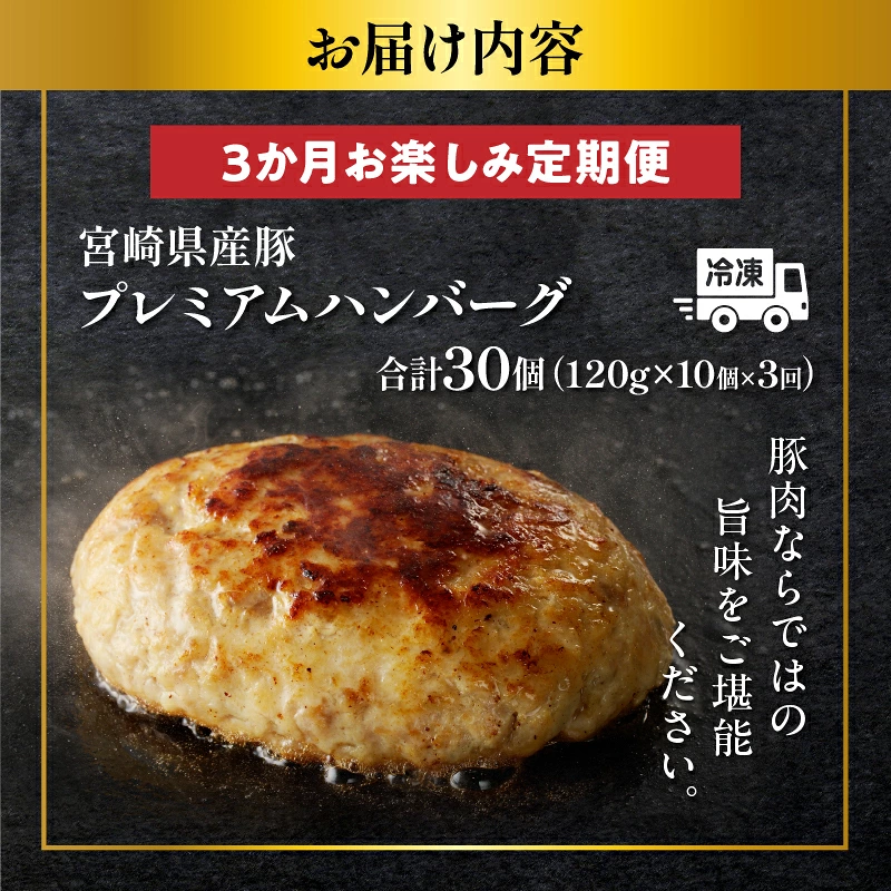 ≪3か月お楽しみ定期便≫宮崎県産豚プレミアムハンバーグ(合計30個) 肉 豚肉 加工品 国産_T001-0177