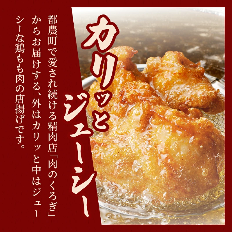 揚げるだけ!!味付き唐揚げ(計1kg) 鶏 鶏肉 チキン 国産_T006-0017