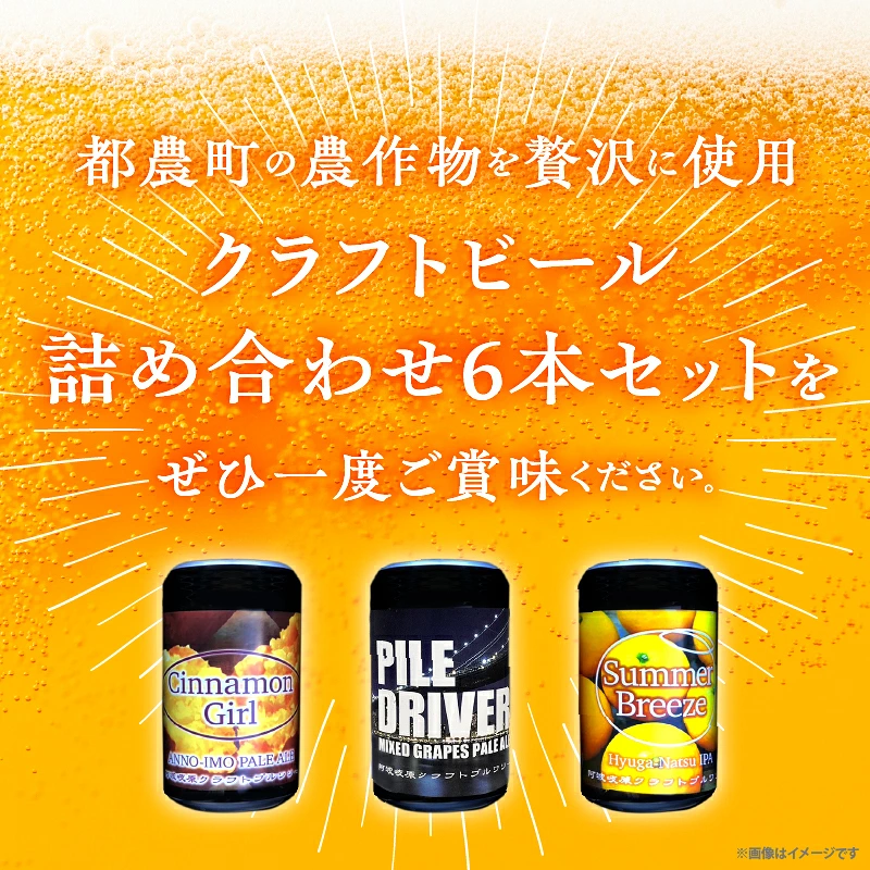 【2週間以内発送】都農クラフトビール詰め合わせ6本セット 酒 アルコール 飲料 国産_T016-0037