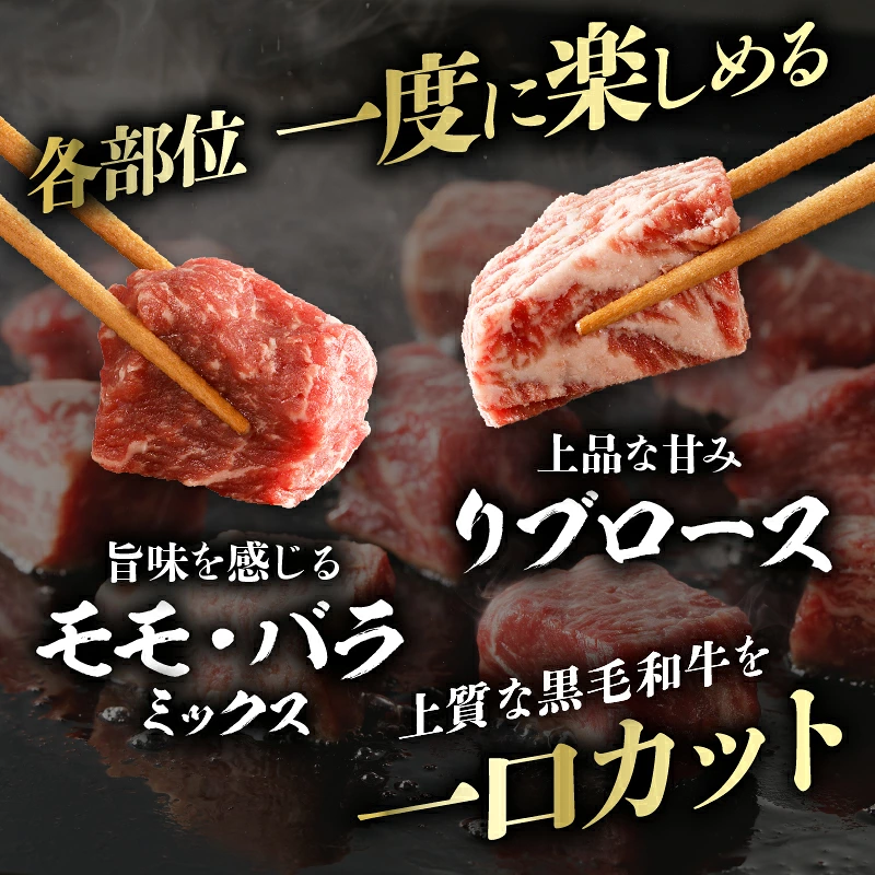 ≪訳あり≫宮崎県産黒毛和牛(経産牛)3種サイコロステーキ(合計1kg) 肉 牛 牛肉 国産_T025-0177