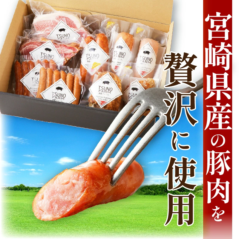 都農ファーム厳選「ウインナー・ハム9点セット」合計1.7kg以上 肉 豚 豚肉 おかず 国産_T020-0027