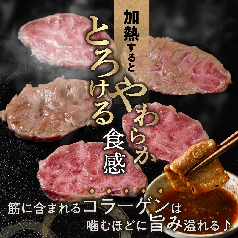 【超希少】宮崎県産黒毛和牛千本筋ブロック(計300g以上) 肉 牛 牛肉 国産_T023-0157