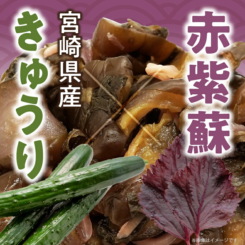 ＼ポスト投函／しば漬け 計1袋 (150g) 漬物 おかず 野菜 加工品 国産_T025-0217