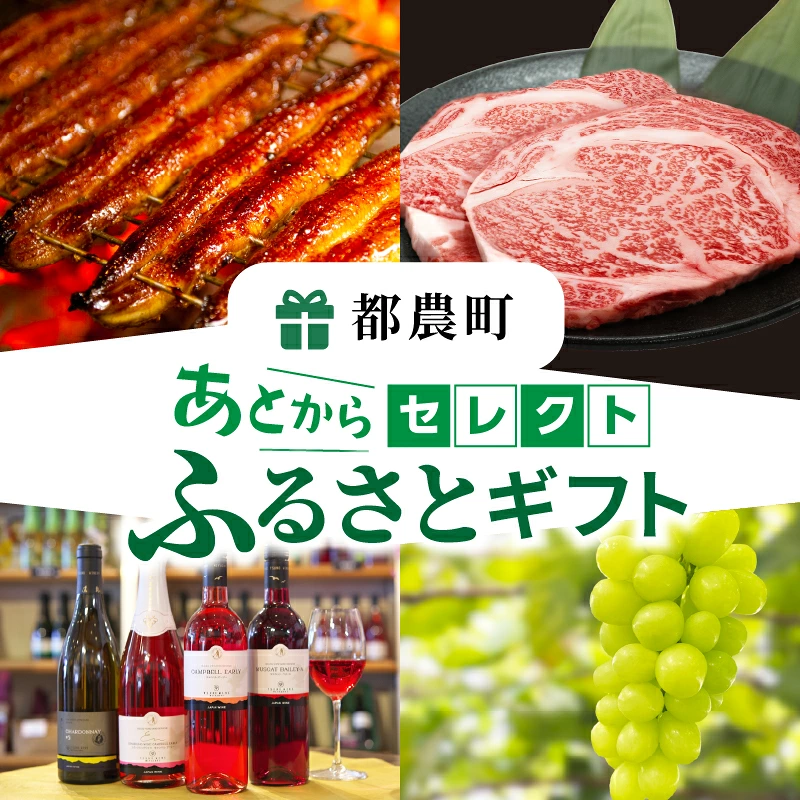 【寄附金額が選べる】≪期限1年間≫あとからセレクト【ふるさとギフト】 あとから選べる カタログ ギフト 鰻 肉 ワイン 都農町_T998-001-SKU