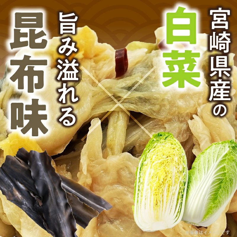\ポスト投函/白菜古漬け(昆布味) 計1袋 (100g) 漬物 おかず 野菜 加工品 国産_T025-0237