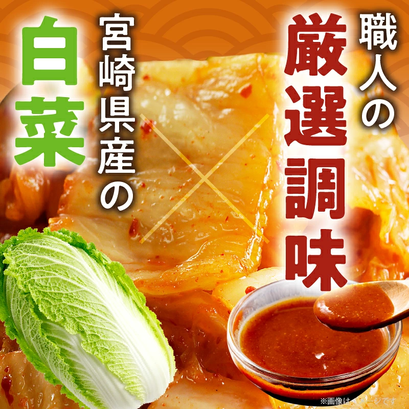 白菜キムチ 計1袋 (1kg) 漬物 おかず 野菜 加工品 国産_T025-0407