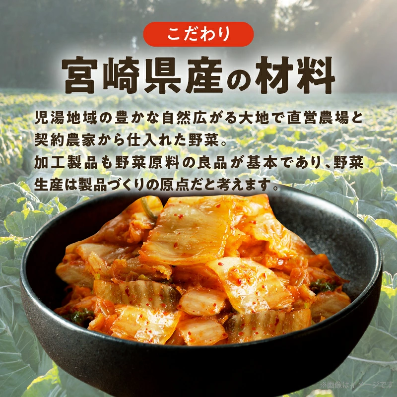 白菜キムチ 計1袋 (1kg) 漬物 おかず 野菜 加工品 国産_T025-0407