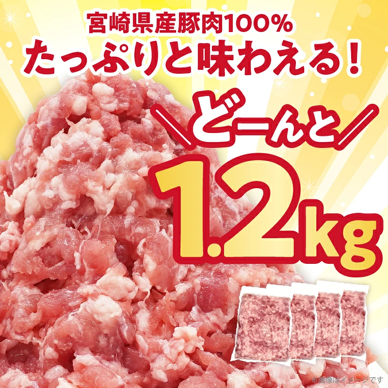 宮崎県産豚ミンチ肉 計1.2kg(300g×4パック) 肉 豚 豚肉 国産_T025-0417