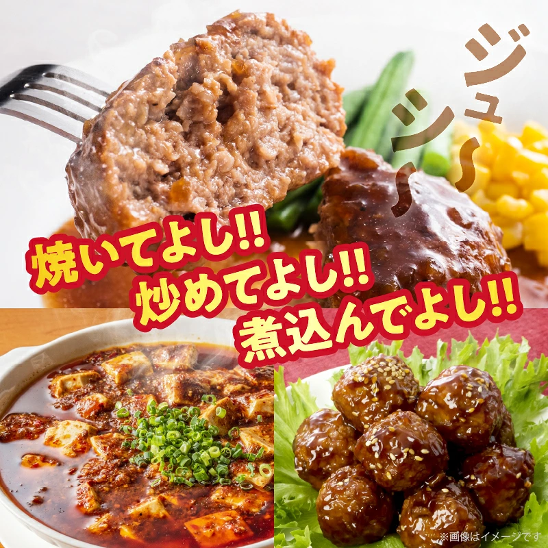宮崎県産豚ミンチ肉 計1.2kg(300g×4パック) 肉 豚 豚肉 国産_T025-0417