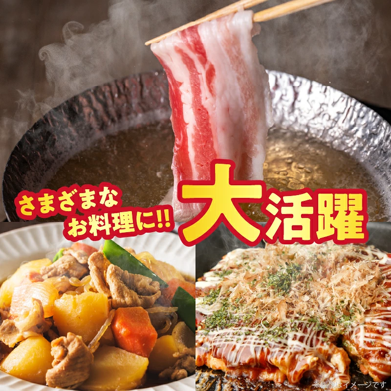 宮崎県産豚バラしゃぶしゃぶ（計1.5kg）肉 豚 豚肉 おかず 国産_T025-0437