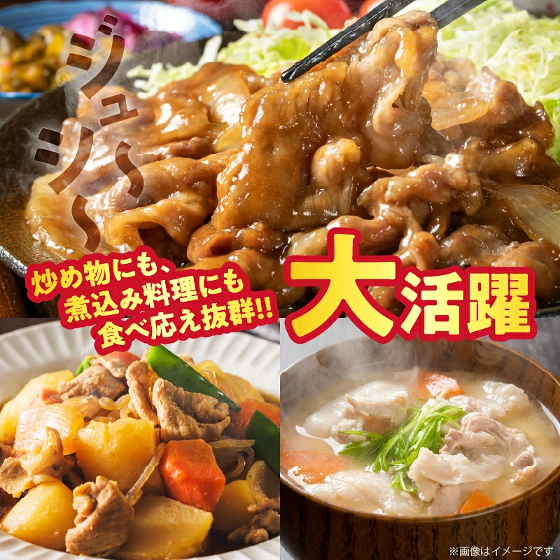宮崎県産豚もも切り落とし（計1.5kg）肉 豚 豚肉 おかず 国産_T025-0447