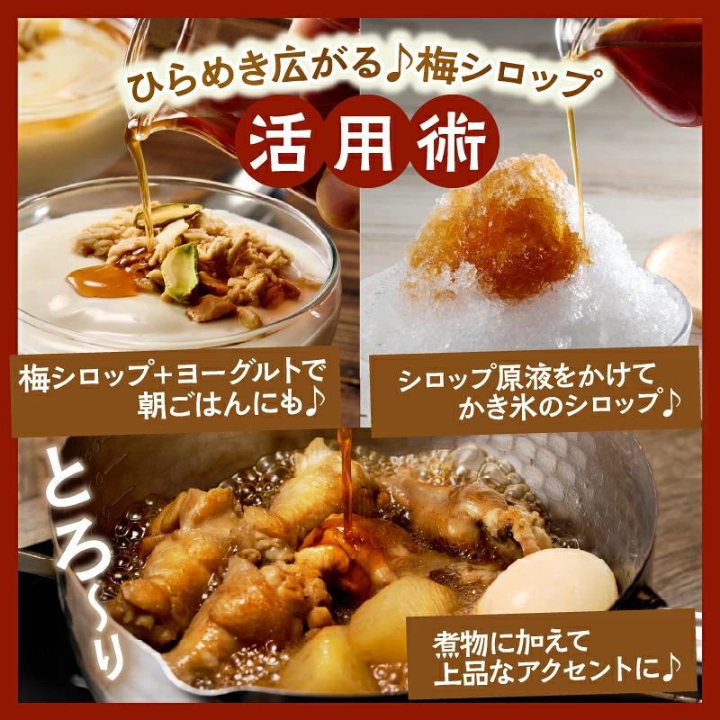 【2週間以内発送】＼ポスト投函／都農町産 蜜梅シロップ(計1本) 梅 加工品 国産_T024-0147