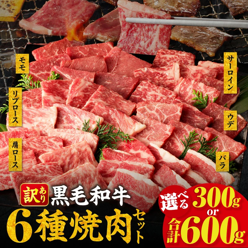 【内容量が選べる】≪訳あり≫黒毛和牛(経産牛)6種焼肉セット(合計300g or 600g) 肉 牛 牛肉 おかず 国産_T030-1198-SKU