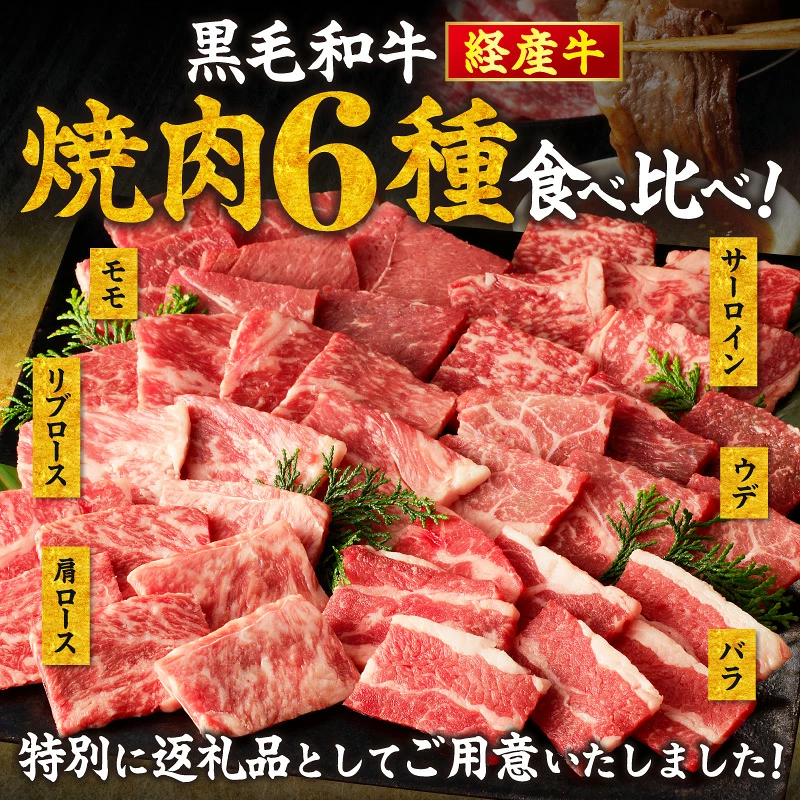 【内容量が選べる】≪訳あり≫黒毛和牛(経産牛)6種焼肉セット(合計300g or 600g) 肉 牛 牛肉 おかず 国産_T030-1198-SKU