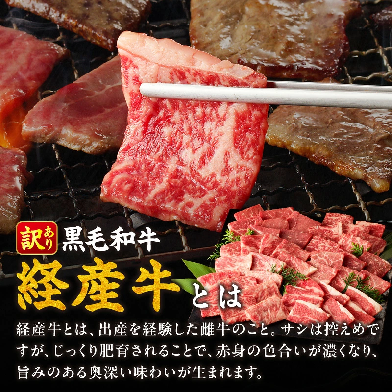 【内容量が選べる】≪訳あり≫黒毛和牛(経産牛)6種焼肉セット(合計300g or 600g) 肉 牛 牛肉 おかず 国産_T030-1198-SKU