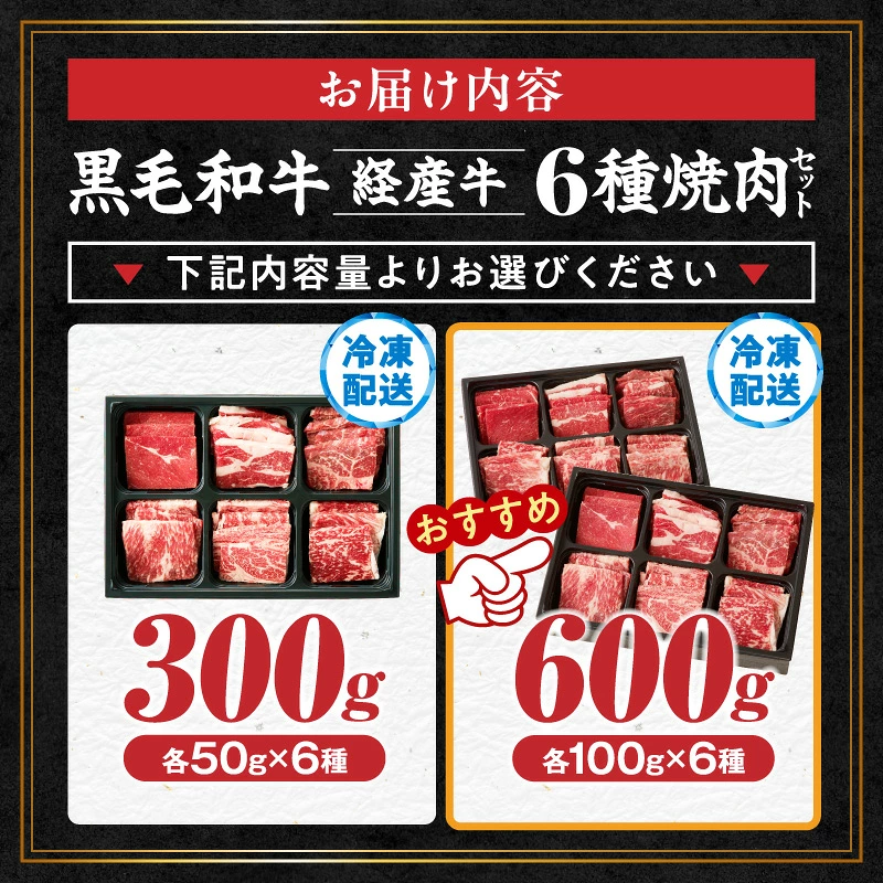 【内容量が選べる】≪訳あり≫黒毛和牛(経産牛)6種焼肉セット(合計300g or 600g) 肉 牛 牛肉 おかず 国産_T030-1198-SKU